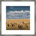 Hay Bales Of Straw During Summer In A Harvest Field Framed Print