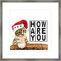 Hay How Are You Christmas Kitty With Black Letters Framed Print