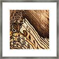 Hell's Canyon Tree Rings Ro10527 Framed Print