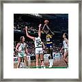 Herb Williams, Larry Bird, And Kevin Mchale Framed Print