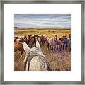 Herd Of Horses Near Ardmore South Dakota Framed Print