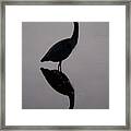 Heron And His Doppelganger Framed Print