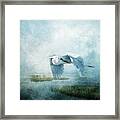 Heron Blue Framed Print