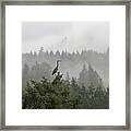 Heron In The Mist Framed Print