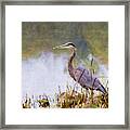 Heron On Milwaukee River Framed Print