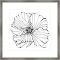 Hibiscus Framed Print