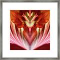 Hibiscus Symmetry Framed Print