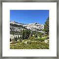 High Mountain Forests Framed Print