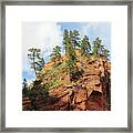 High Above The Canyon Framed Print