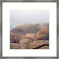 High Angle View Of Rocky Shore Framed Print