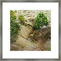 High Desert Stream Bed Framed Print