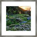 Highland Sunrise Framed Print
