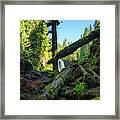 Hike To Koosah Falls Framed Print