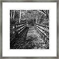 Historic Rail Trail Bridge Creeper Trail Damascus Virginia Black Framed Print
