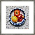 Home Grown Tomatoes Framed Print