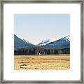 Home Isolated Framed Print