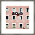 Homegrown Laundry Wire Framed Print