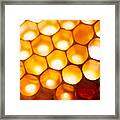 Honeycomb Macro 2 Framed Print