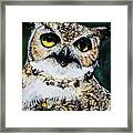 Hoodini The Owl Framed Print