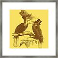 Hornbill Birds In Yellow And Brown Framed Print