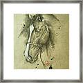 Horse #22531 Framed Print