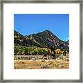 Horse Country Framed Print