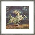 Horse Frightened By A Storm Framed Print