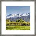 Horse In The Valley Framed Print