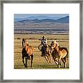 Horse Roundup Framed Print