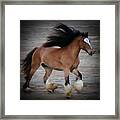 Horse Show Germantown Tennessee Ii Framed Print