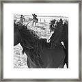 Horse Style Framed Print