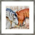 Horses Nuzzling Soft Colors Framed Print