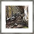 House Mountain 17 Framed Print