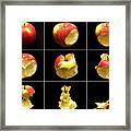 How To Eat An Apple In 9 Easy Steps Framed Print