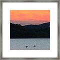 Hudson River Geese Framed Print