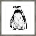 Humboldt Penguin Framed Print