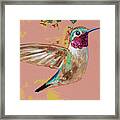 Hummingbird 2021_013 Framed Print