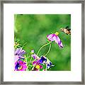 Hummingbird And Flowers Framed Print