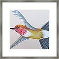 Hummingbird Book Box 3 Framed Print