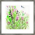 Hummingbird In The Red Salvia Framed Print