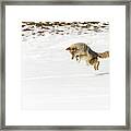 Hunter Framed Print