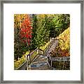 Huron Manistee National Forest In Michigan With Fall Colors Framed Print