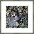I Like It At Your Place Framed Print