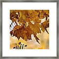 I Love Fall Framed Print