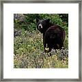 I See You Checking Me Out Framed Print