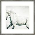 I See You  - Horse Art Framed Print
