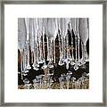 Ice Art Framed Print