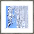 Ice Cicles Framed Print