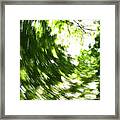 Icm Looking Up 10 Framed Print