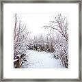 Icy Winter Path Framed Print